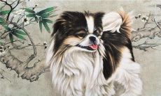 12生肖太岁方位图(怎么看太岁在哪个方位)