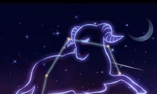 白羊座男生喜欢一个人是什么样(金牛座男生喜欢一个人的表现)