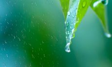 做梦梦见下大雨是什么意思(梦见下大雨是什么预兆)