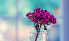 优质个性签名干净八字(八字个签简单气质)