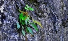 岷字取名寓意好吗(兄妹怎么取名)