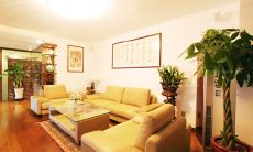 客厅财位摆发财树(客厅财位应该摆放什么)