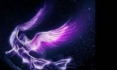 十二星座谁是千金大小姐(哪个星座女有大小姐命)