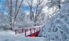 在夏天梦见下雪是什么征兆(夏天梦见下雪是什么意思)