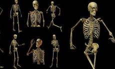 称骨头几斤几两(称骨几斤几两)