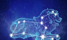 狮子座和金牛座哪个更厉害(狮子座为什么怕金牛座)