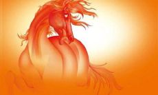 1978年属马的多少岁(1978年属马人今年多少岁)