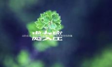 天秤座智商有多可怕(成熟的天秤座太可怕了)