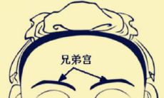 紫薇十二宫之财帛宫(财帛宫紫微星化权)