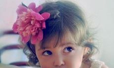 禾字五行属水还是属木(禾字旁五行属水的字有哪些)