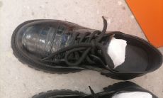 梦见鱼缸里有好多观赏鱼(女人梦见很多鱼)