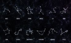 什么星座和什么星座谈恋爱最合适(狮子座女生性格特点)