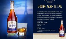 狮子座和什么酒(狮子座能吃定哪个星座)