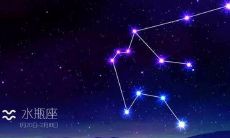 水瓶座是哪一月出生的(水瓶座是哪个月)