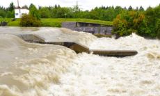 梦见好大的水滚滚而来是胎梦么(梦见水里有蛇是什么意思)