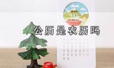 公历是不是农历(公历在日历上怎么看)