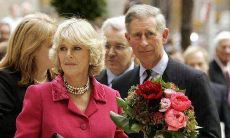 招财又吉利的字母(吉利招财的花)