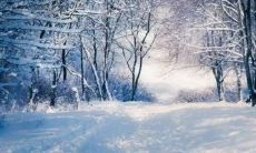 四季轮回的周期叫做年是指(13年是一个轮回吗)