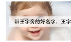 起名王字旁有什么好字(王字男孩取名宝典)