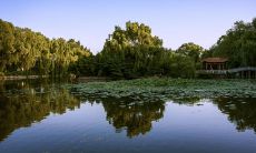 以山东起名字(小孩起名字大全免费)