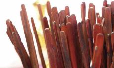 如何用右手卜卦(卜卦用的两个东西)