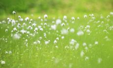 女人梦到小蛇追着自己咬(梦到一群蛇追着咬我)