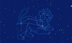 狮子座喜欢什么颜色和什么颜色(狮子座的男生喜欢什么颜色)