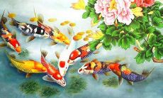 属羊的吃什么旺财运(属羊1979年44岁走大运)