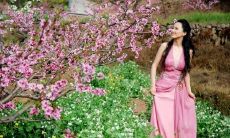 为什么称桃花运(桃花运代表什么意思呢)