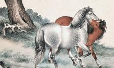 属马吉利数字男(1990属马的吉祥数字)