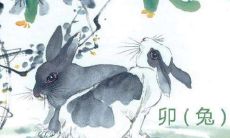 1999年属兔女姻缘几时会来(1999年属兔人城头土命婚姻)