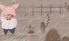 属猪的2023年结婚最佳日期(属猪2023年结婚大利月)