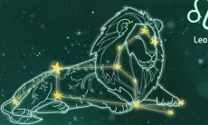 狮子座哪年出生的(狮子座出生日期年份)