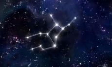 狮子座能有多绝情(狮子座和天蝎座能在一起吗)