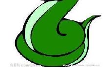 生肖蛇的最佳创业时间(生肖蛇做什么行业好)