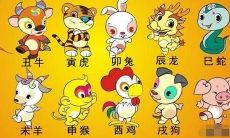 属相是按阳历还是阴历算(十二生肖按阴历还是阳历算)