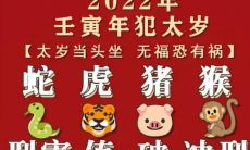 2023年属猪男1995全年运势牢狱之灾(1995属猪一生运势)