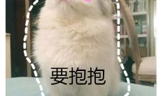 射手座和白羊座在一起概率(射手白羊吵架谁道歉)