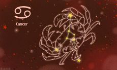 下半年运势如虹的星座(未来三年属龙运势)