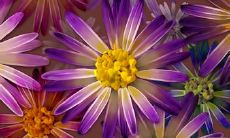 万州哪里算命算的准(重庆算命最准的人在哪里)