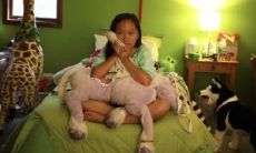 被抱养的孩子前世是什么命(抱养的孩子八字还准吗)