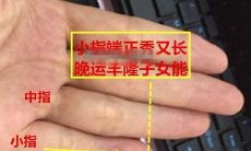 晚年儿女供养手相(晚年过得好的手相)