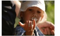 易经起名免费网(周易起名口诀)