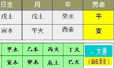 丙火日柱女命性格(丙申日柱女命配偶)