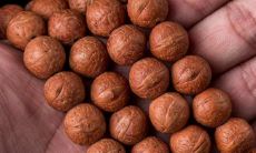 面相凤眼和龙眼的区别(凤眼面相男人)