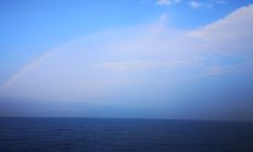 梦见抓老鼠是什么征兆(梦见老鼠乱窜是什么预兆)