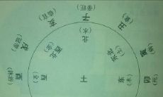 财多身弱行财运的财运是什么(财多身弱行财运)