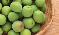 青梅酒起名字(起名字有男不带天女不带仙的说法吗)