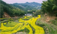 只有中国人信风水吗(为什么中国人信风水)