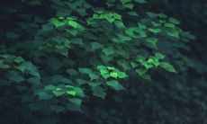 梦见死人给我算命驱邪盖印好不好(算命的人为什么算得那么准)